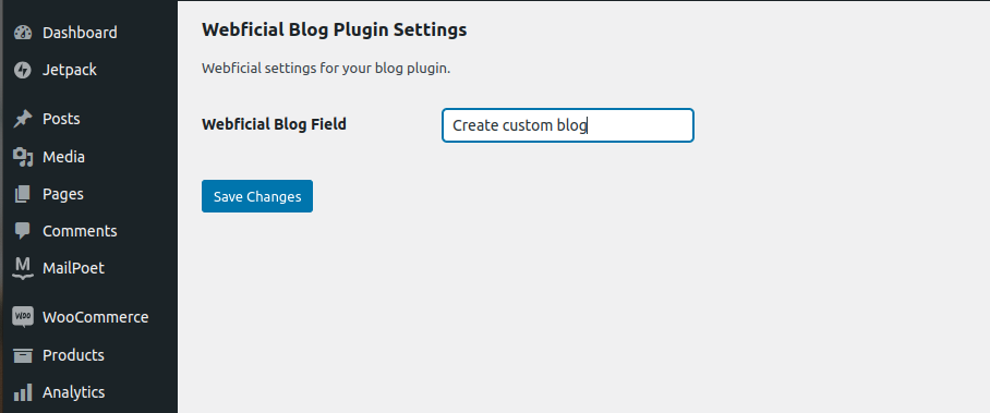 Create Custom Settings in WordPress